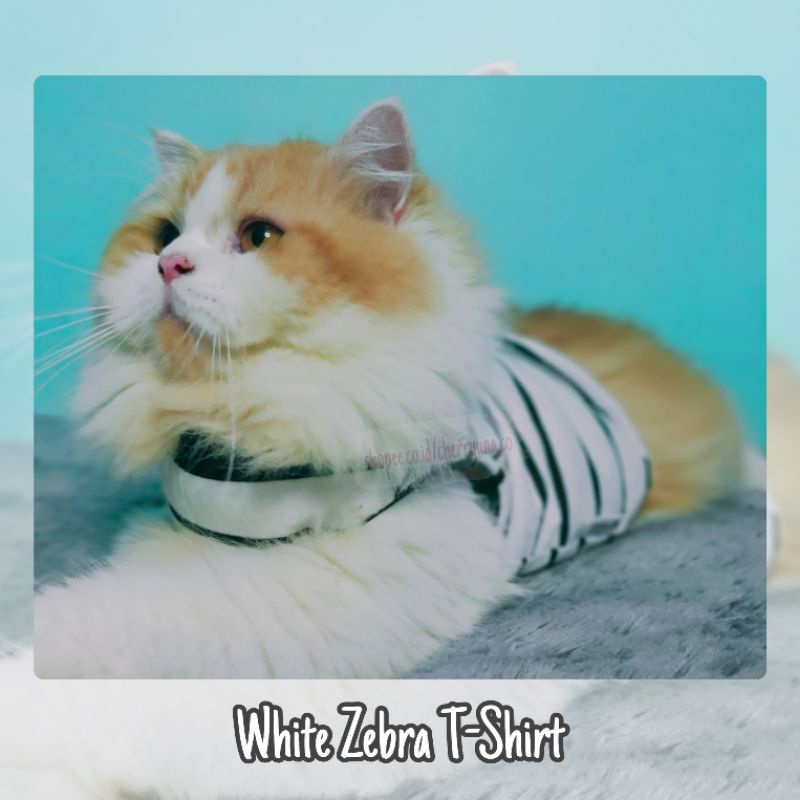 [BAJU KUCING/ANJING] Black/White Strip Zebra T-Shirt