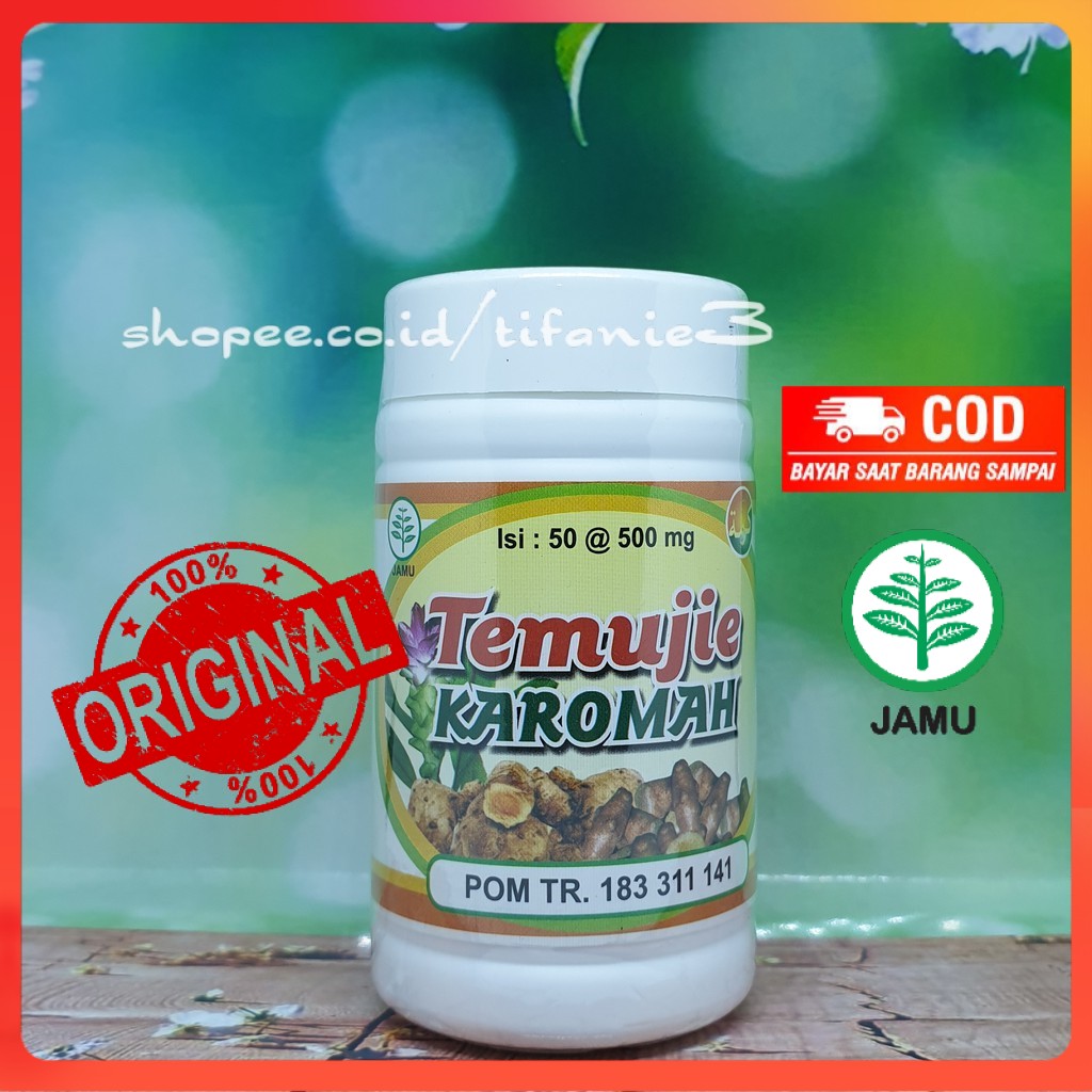 

Obat Liver Herbal Temujie Karomah De Nature