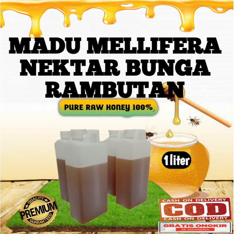 

Madu asli madu murni madu hutan apis mellifera nektar bunga rambutan 1liter
