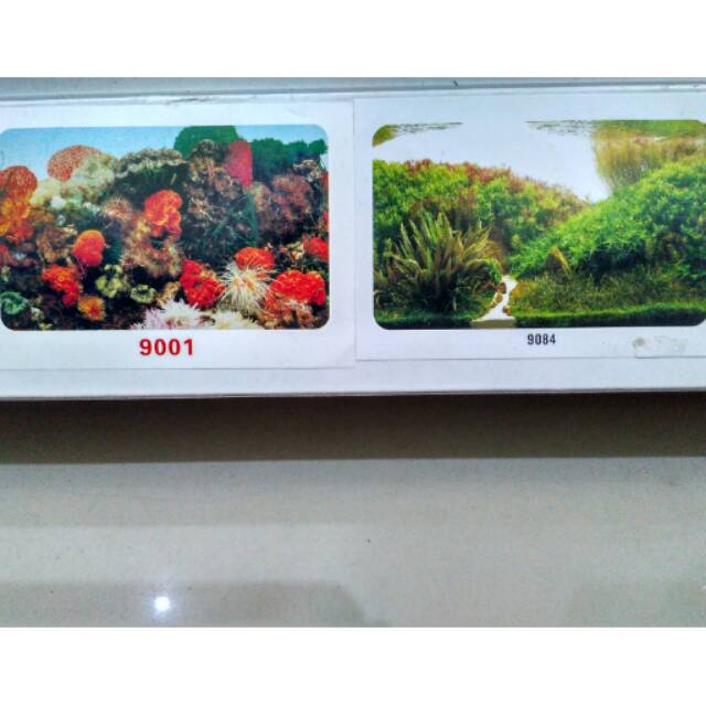 Background Aquarium tinggi 30cm,40cm,50cm,60cm per roll