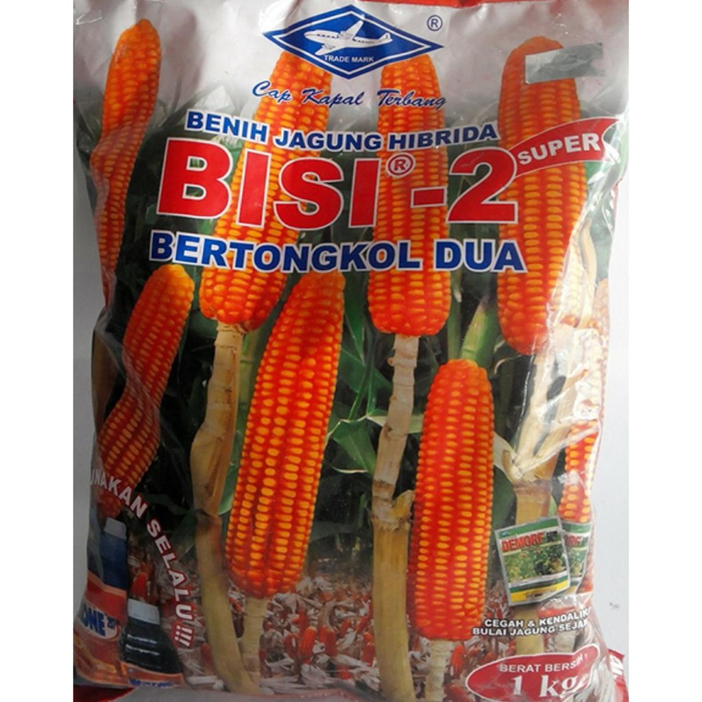 KW ASLI BIBIT BENIH TANAMAN BUAH JAGUNG BERTONGKOL DUA (BISI-2) KW SUPER
