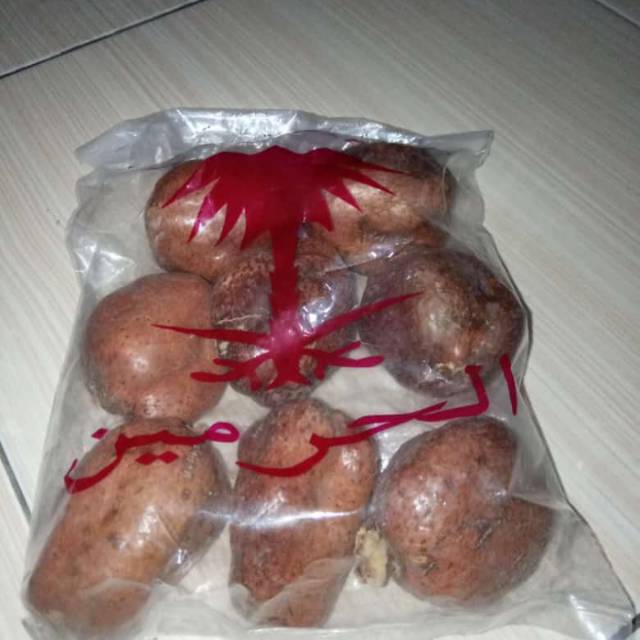 

Buah zuriat