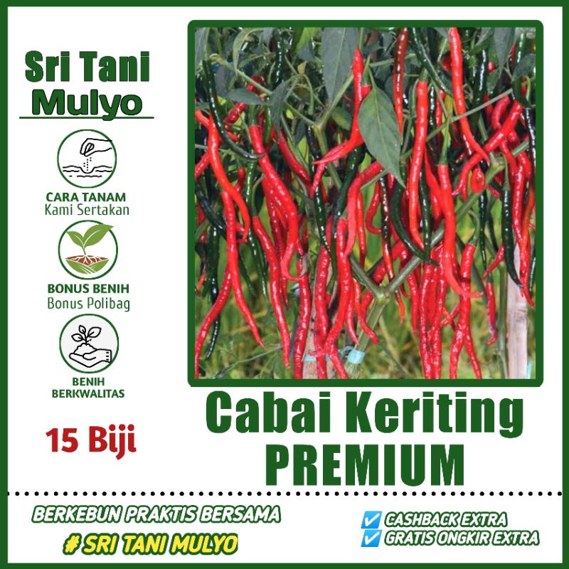 15 Biji - Benih Cabai Keriting Kwalitas Premium - JACKO F1 - Tunas Agro - Bibit Sayuran Benih Sayura