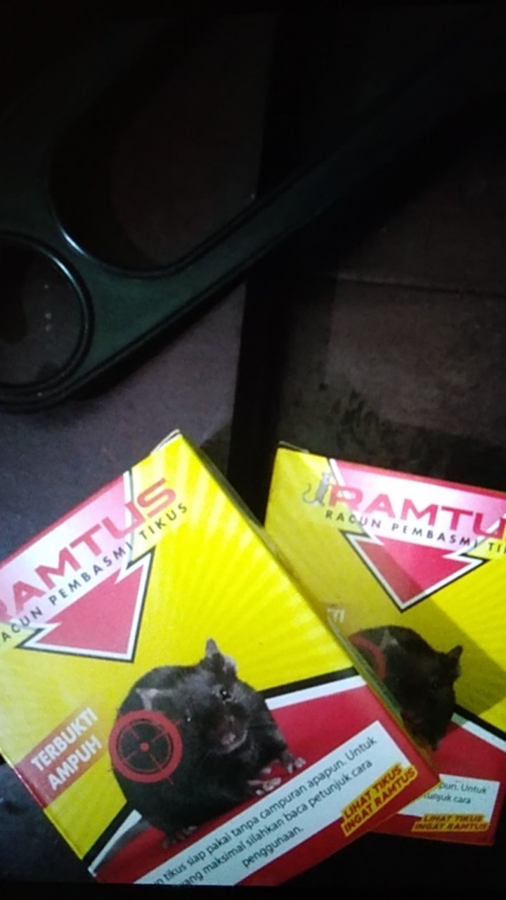 Ramtus Racun Tikus Ampuh Mati Kering Tidak Bau Pembasmi Curut Wirog Mencit Dirumah Di Mobil 2 Pack