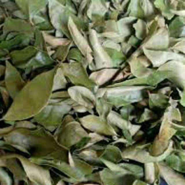 

Daun salam 100gram.stok masih fres segar