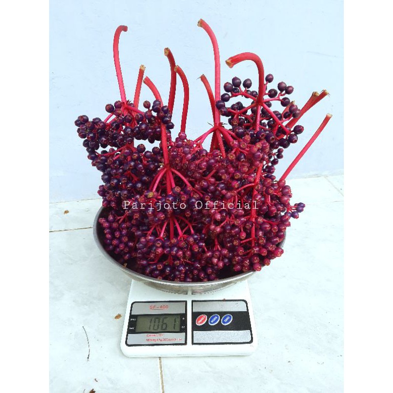 

Parijotho muria 1000g