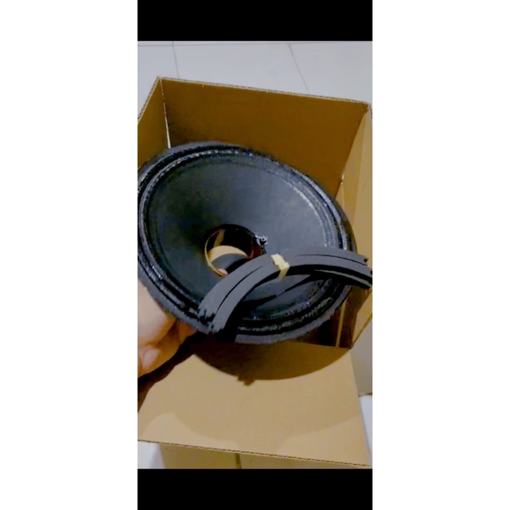 SPL Audio Rekonkit SPeaker 10TBX100