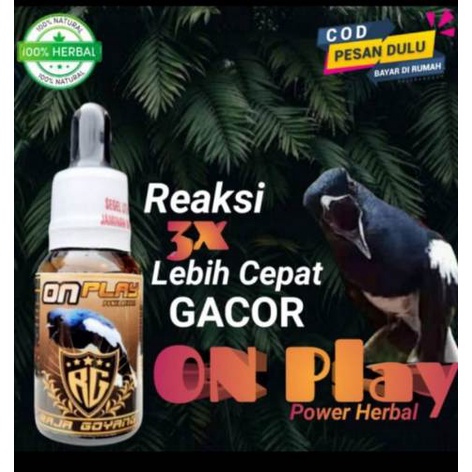 RG ON PLAY KACER VITAMIN PREBIOTIK UNTUK KACER LOMBA