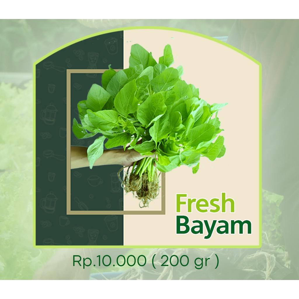 

Bayam Hijau Freshpick By Jirifarm Sayur Segar Hidroponik