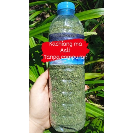 

kachiang ma/daun ka chiang ma