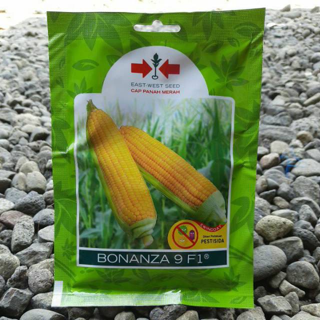 PROMO Benih Bibit Jagung Manis BONANZA 9 F1 (200btr)