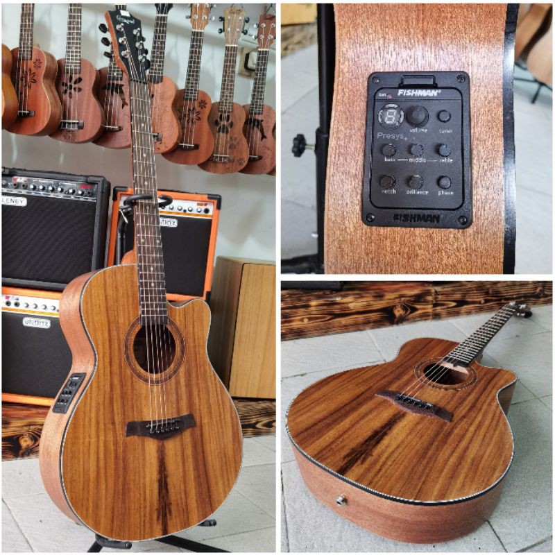 Gitar Akustik Elektrik Tuner Fishman Camwood IWC-235NSK Original Pabrikan Import