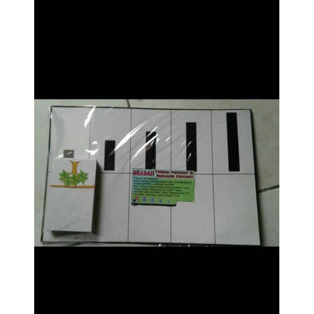 Kartu Gradasi Tinggi Pendek/IQ Development/Kartu Terapi Wicara Perilaku Autis