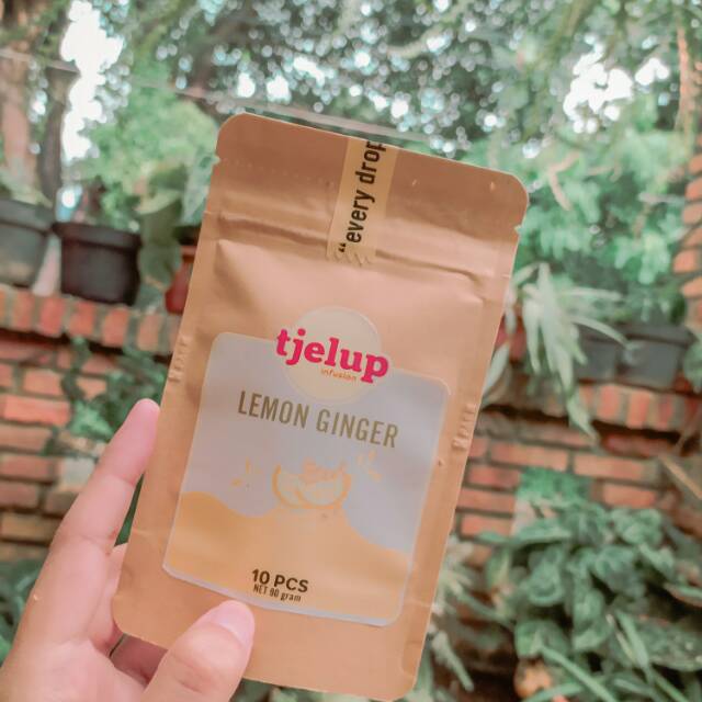 

TJELUP Infused Water: Lemon Ginger (4 pcs)