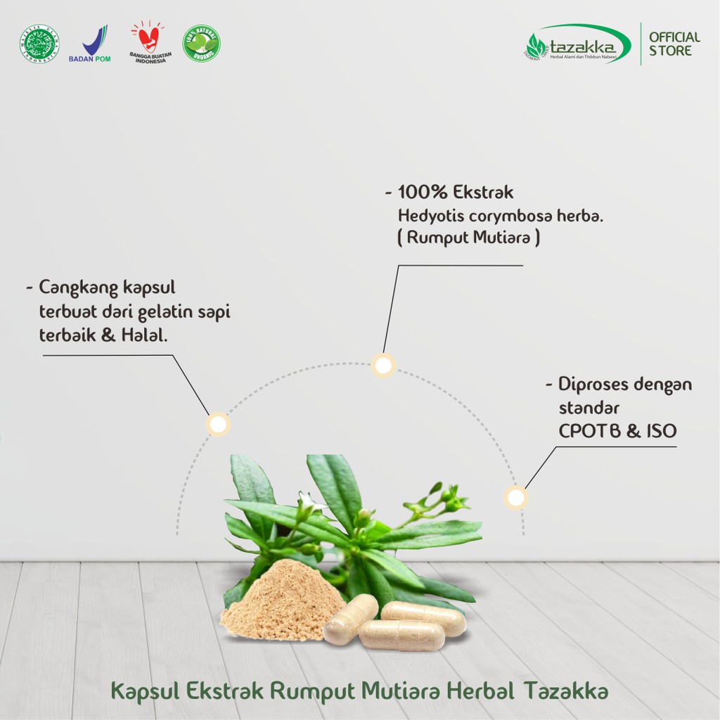 OBAT AMANDEL | OBAT Herbal RUMPUT MUTIARA Tazakka isi 60 Kapsul | Kapsul Herbal HALAL BPOM ORIGINAL