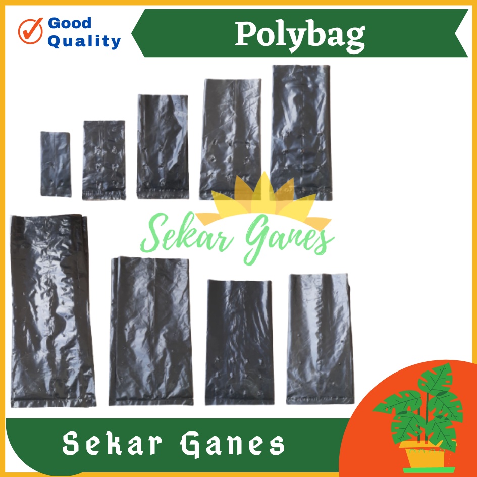 1 Polybag Tanaman Polibag Tebal Kecil Sedang 10x12 15x15 20x20 25x25 30x30 Pot Plastik Polibek Bunga