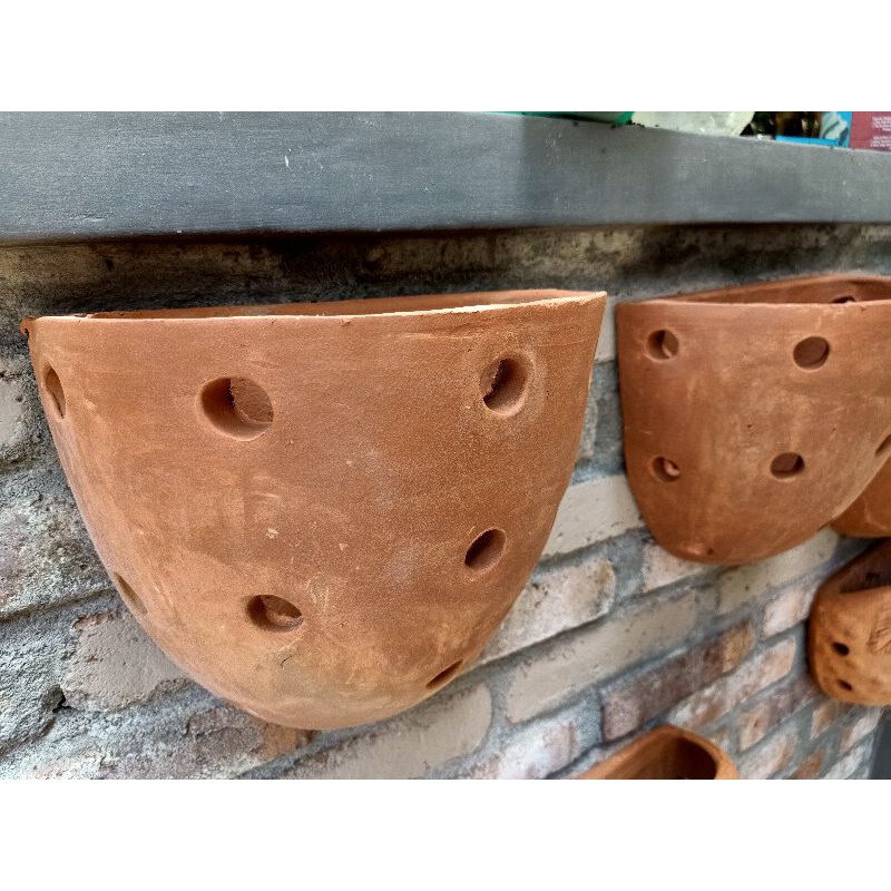 POT TERAKOTA | Pot Tanaman Anggrek Pot Tempel