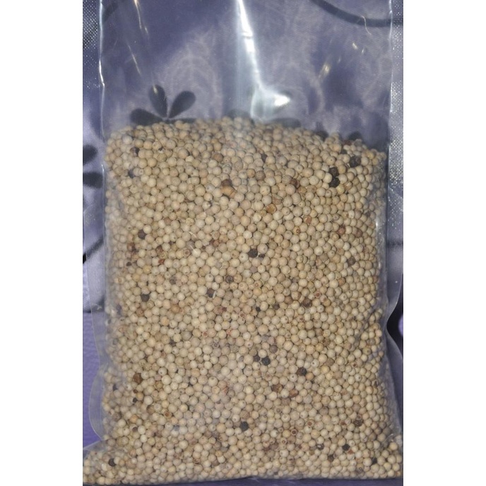 

LADA PUTIH BANGKA @ 1 KG