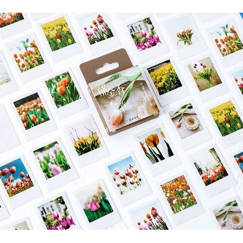 Label Stickers - Tulip (46pcs)