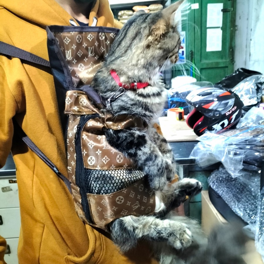 Tas Ransel gendongan Anjing kucing hewan peliharaan model Rompi depan belakang imp pet travel