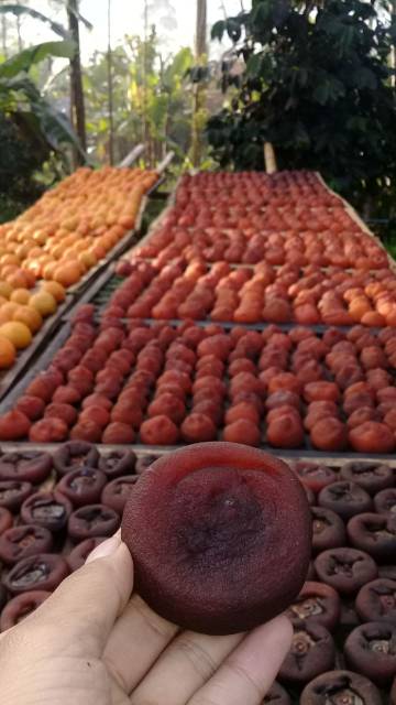

Cemilan Sale Kesemek/Snack Manisan Kesemek/Makanan Dried Persimmon/1000 gram