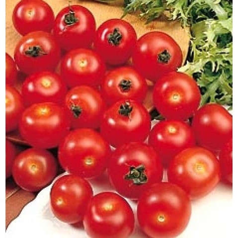10 benih Tomato Cherry Large Red
