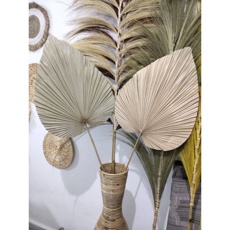 palem hias/palem kering/bunga kering