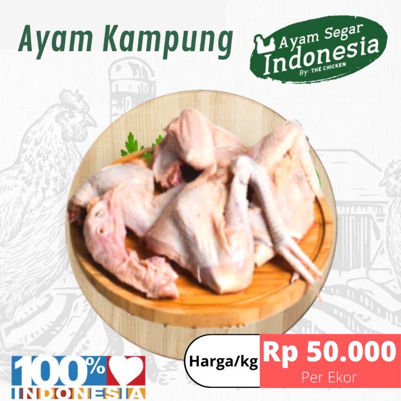 

Ayam Kampung 1 Ekor