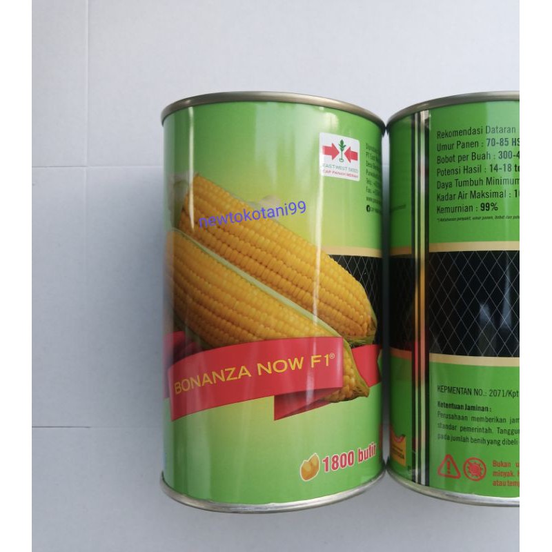 ZT62J Benih jagung manis BONANZA NOW F1 1800 butir kemasan kaleng jagung manis hibrida dari PANAH ME