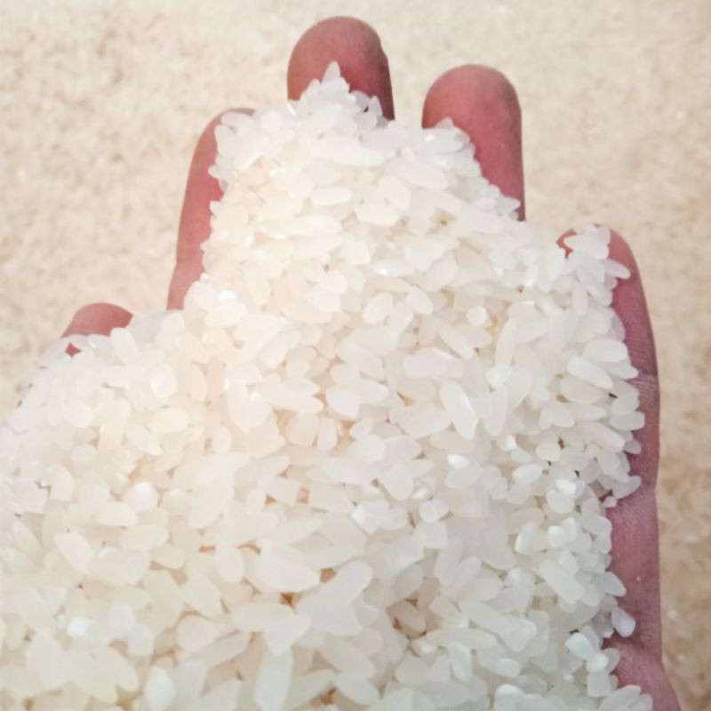 

Beras Mentik Wangi 5Kg