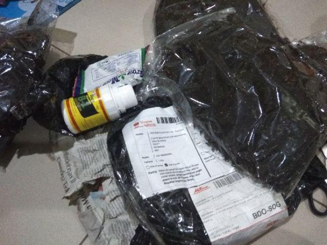 Ori Pupuk Vit B1 Vitamin - B1 Liquinox 100 Ml