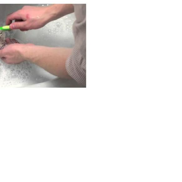 ✿ Shampo Landak Mini Hedgehog ֍