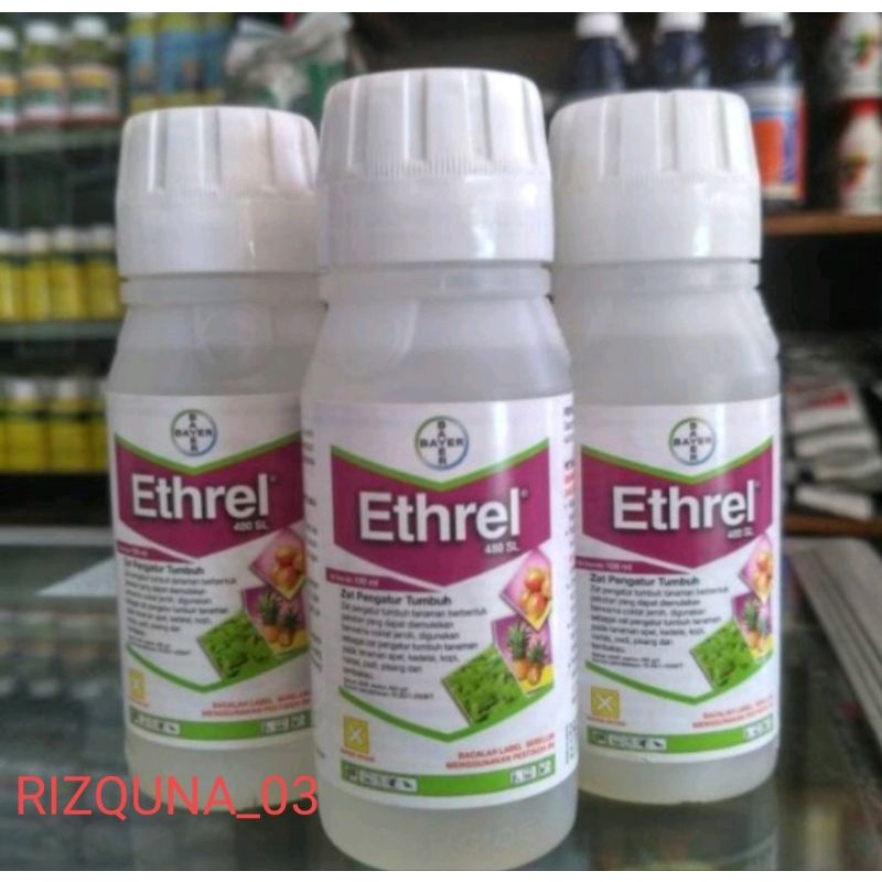ZAT PEMATANG BUAH (Karbit cair) ETHREL 480SL/ Pemasak buah ETHREL 100ml
