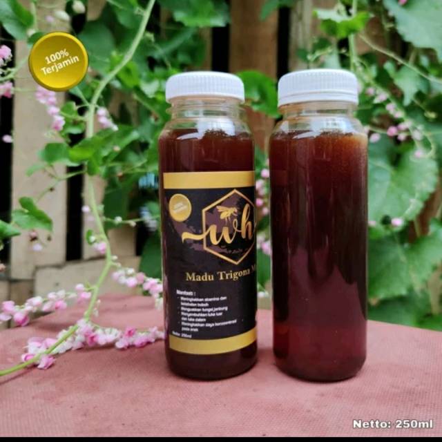 

Madu KLENCENG TEUWEUL asli