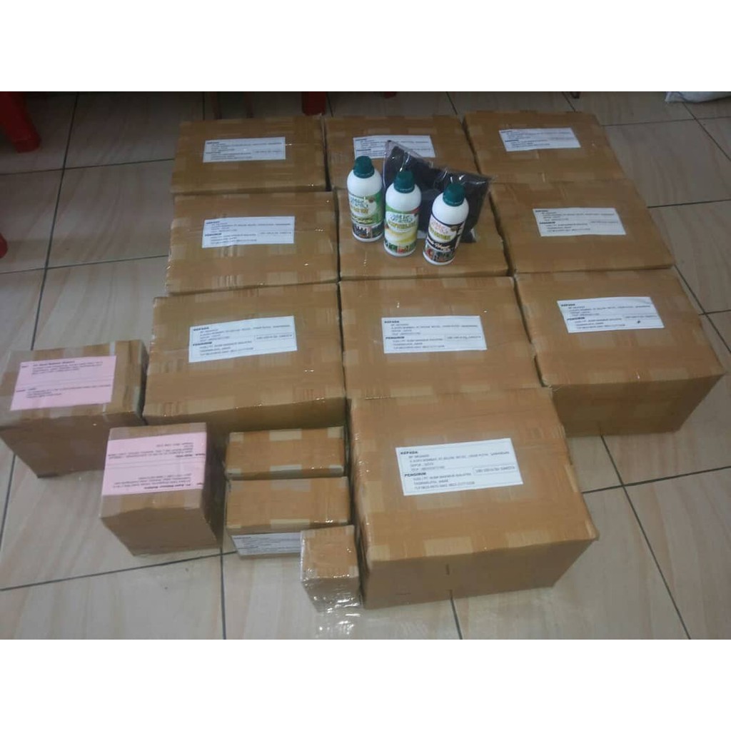 ANTILAT Pestisida Organik Obat Anti Hama Tanaman Mengatasi Wereng Coklat pada Padi, dll - Obat Pestisida Wereng Coklat - Insektisida Untuk Wereng Coklat - Obat Pembasmi Hama Wereng Coklat - Cara Mengatasi Hama Wereng Coklat Pada Padi