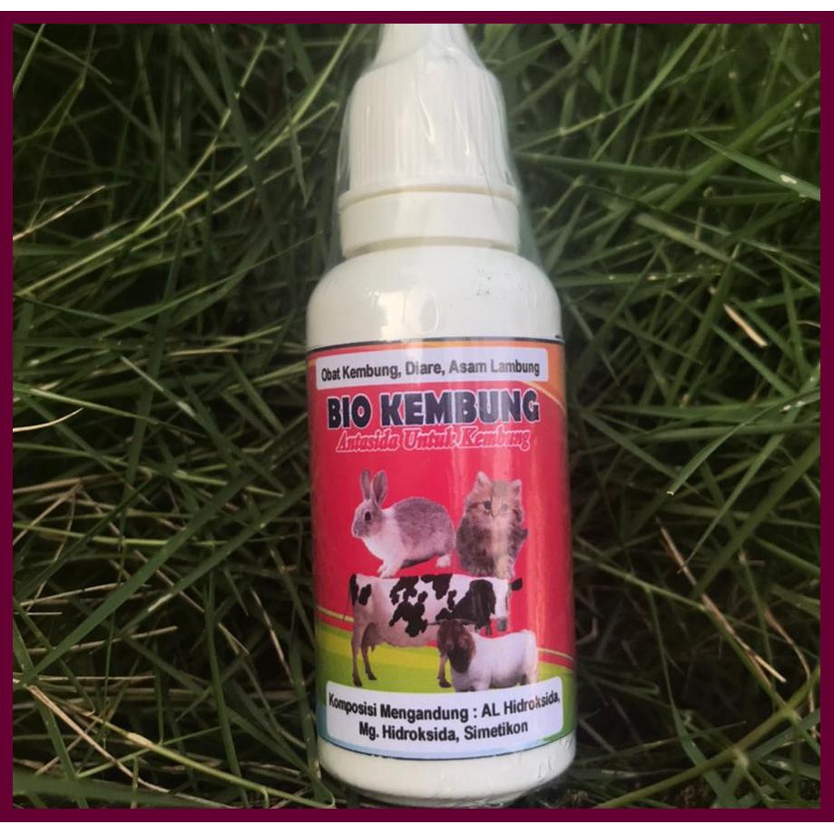 OBAT KEMBUNG KELINCI ORAL, JUAL OBAT KEMBUNG, Obat Kembung Hewan, JUAL OBAT MENCRET, JUAL OBAT DIARE