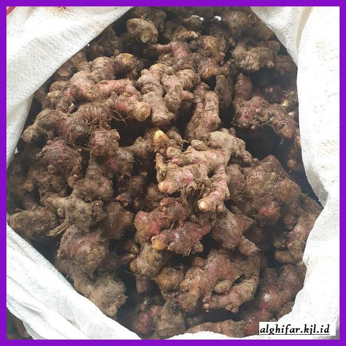

lanoisidartdrink- jahe merah fresh 500gr -asliii-bngittt.