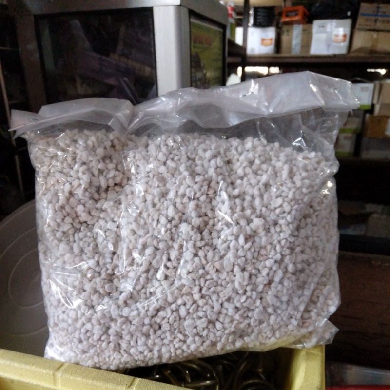 Perlite Media Tanam untuk Kaktus atau Sukulen