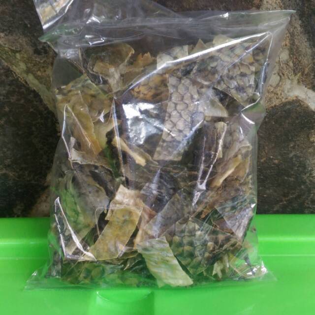 

Kerupuk Kulit Ikan Mentah Sudah potong-potong (100 gram)