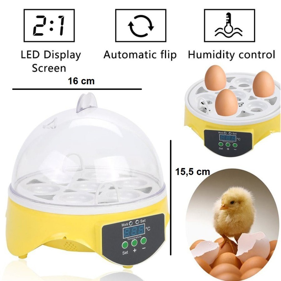 Inkubator Telur Original