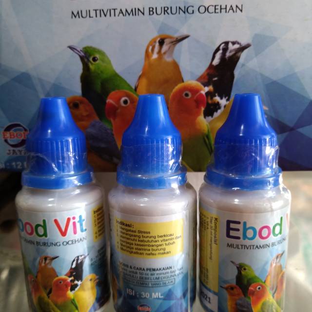 Ebod Vit