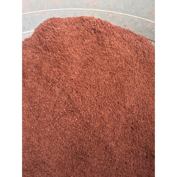 Pasir Malang Merah Ikan Channa Predator Aquarium Aquascape - 1 Kg