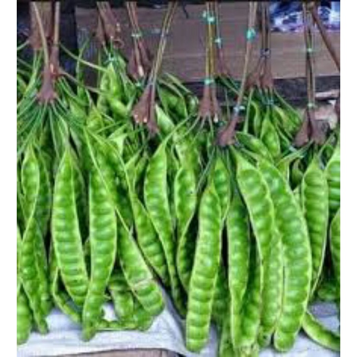 

JUAL BUAH PETAI