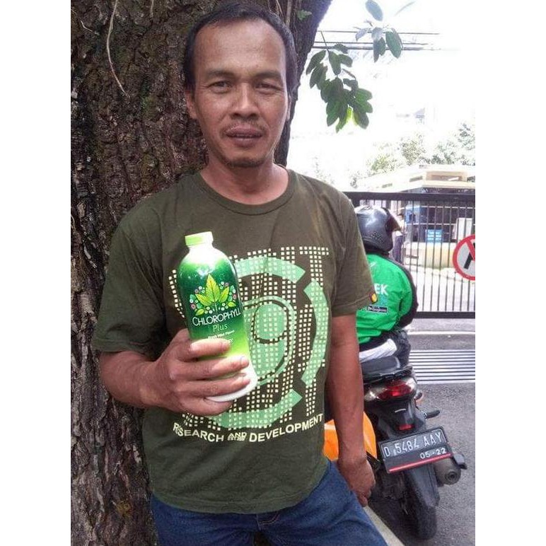 READY CHLOROPHYLL   COLOSTRUM   NONIPLUS - PENGOBATAN ALTERNATIF DIABETES PROMO