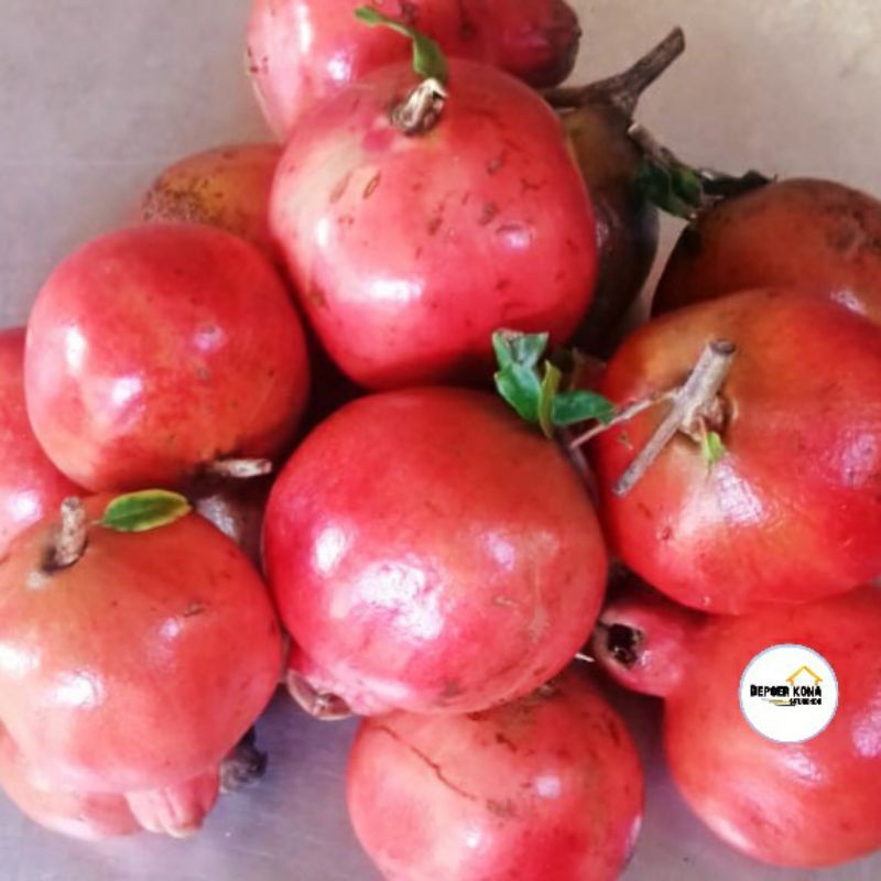 

buah delima merah segar ukuran medium/sedang