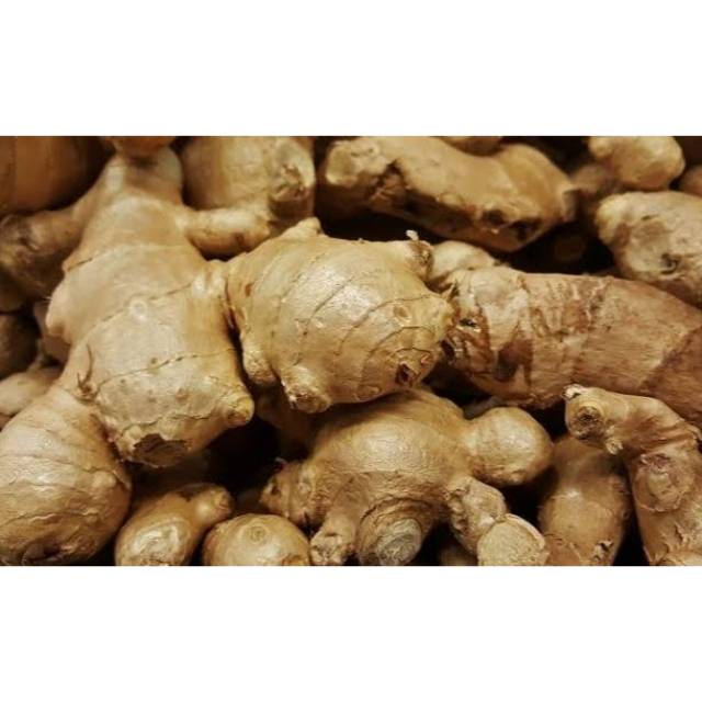 

Jahe - jahe gajah - jahe putih (rimpang) 500 gram - JAHE PUTIH / GINGER / ZINGIBER