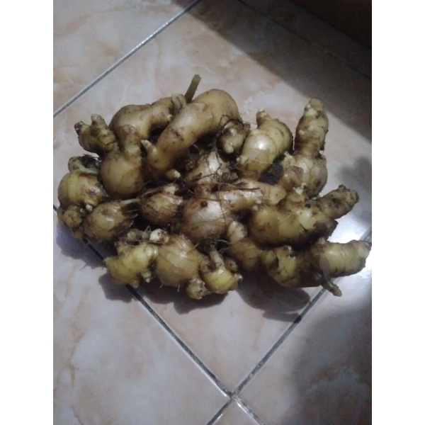 

jahe 1kg