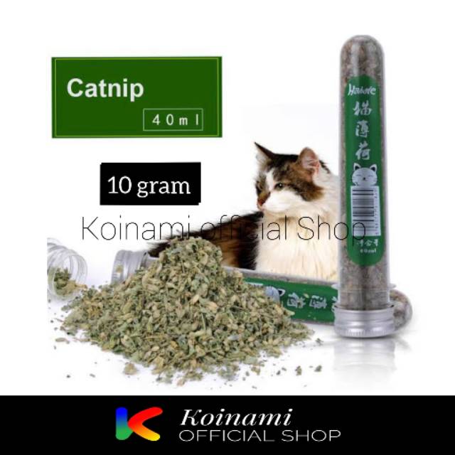 CATNIP BOTOL ISI 10 gram / for cat / mainan kucing / aroma hewan