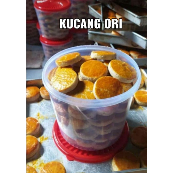

kucang ori