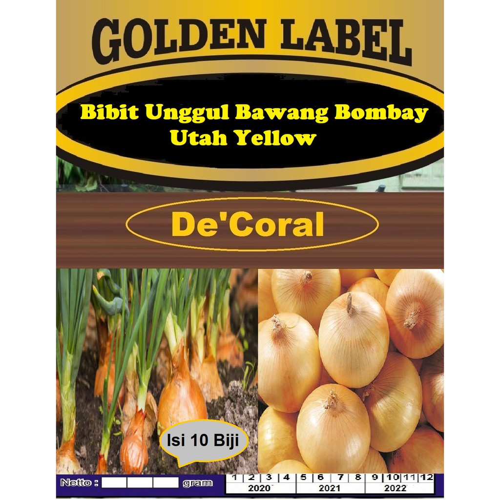 Bibit Unggul Bawang Bombay Utah Yellow | Benih Bawang Bombay
